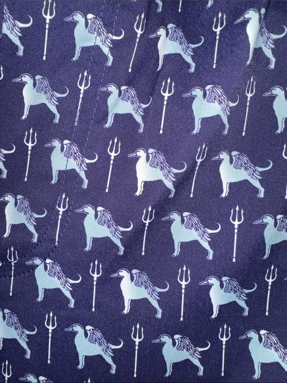 Birddogs swim trunks - Picture 5 of 12